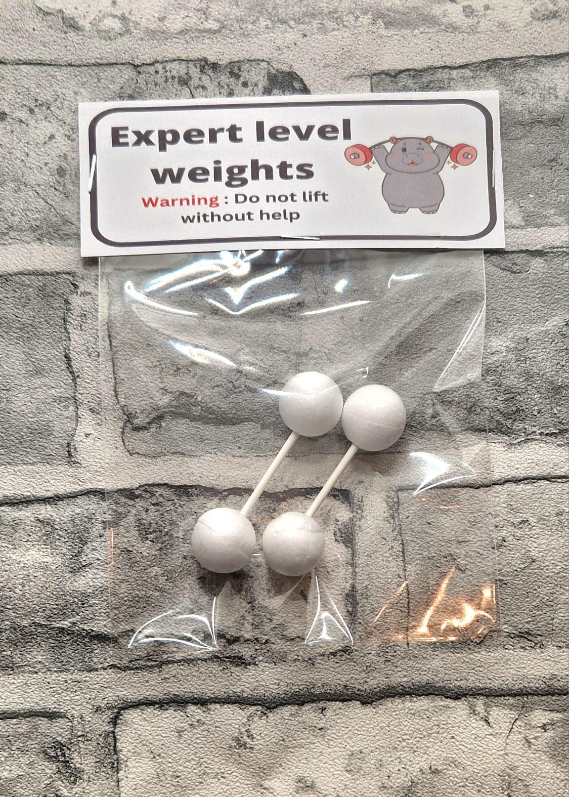 🏋️ Expert Level Weights – Premium Strength Training Equipment for Serious Lifters