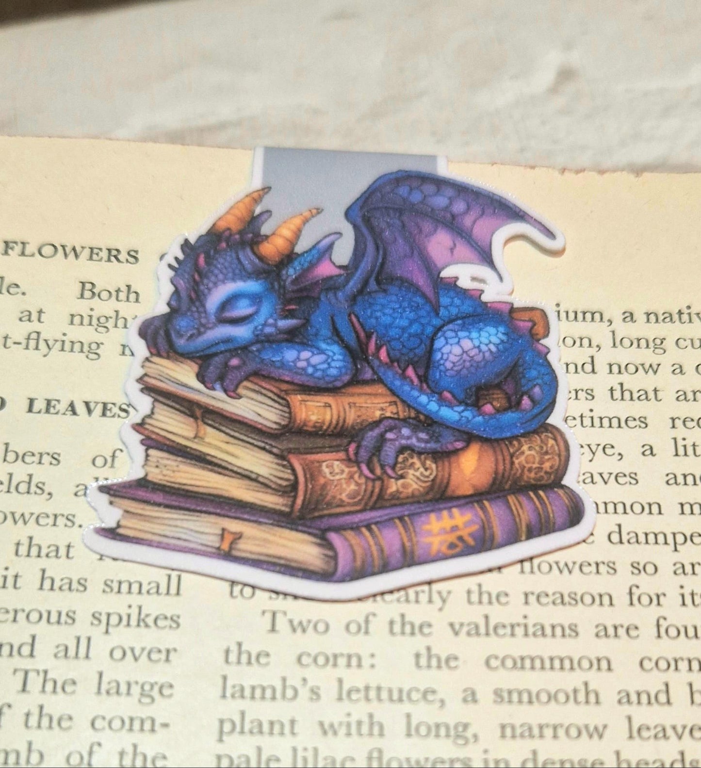 Dragon Magnetic Bookmark – Fantasy Gift for Book Lovers & Readers